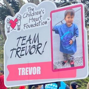 Fundraising Page: Team Trevor